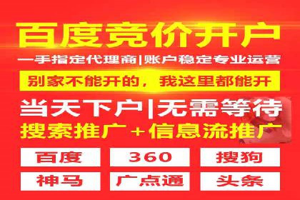行业领先的SEM竞价广告投放案例